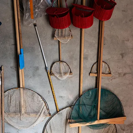 La Preferee, App Vue A *